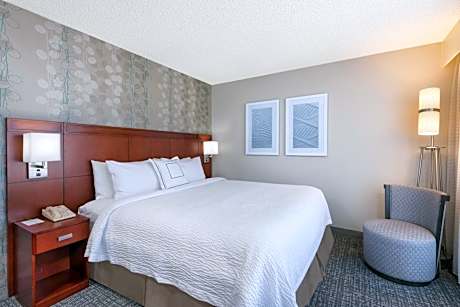 1 Bedroom 2 Room Suite, 1 Bedroom 2 room Suite, 1 King, Sofa bed