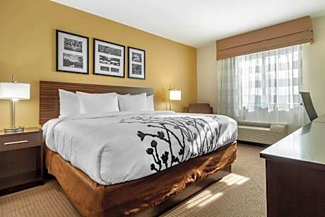 King Room - Accessible/Non-Smoking