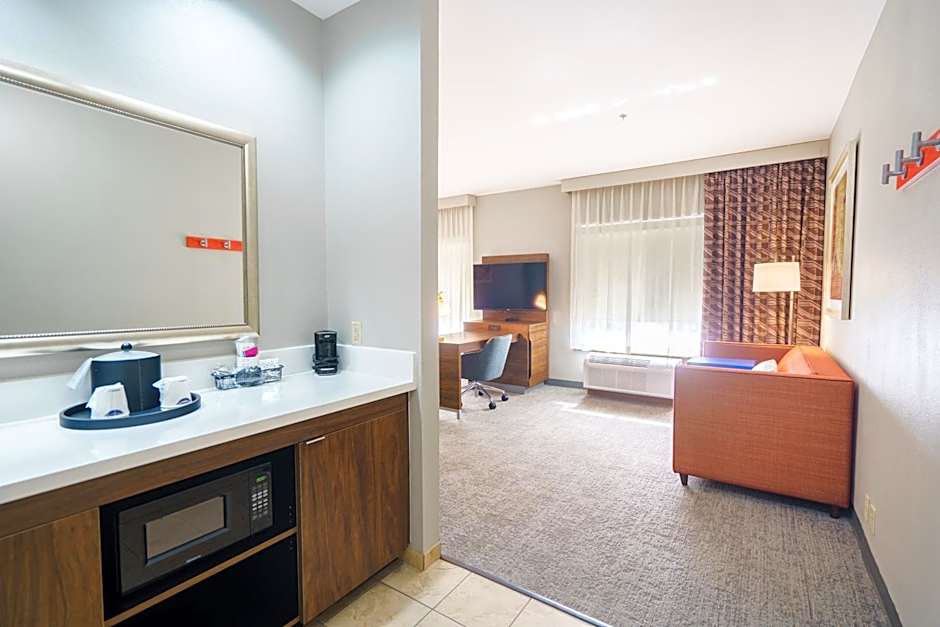 Hampton Inn By Hilton & Suites Abilene I-20 Tx