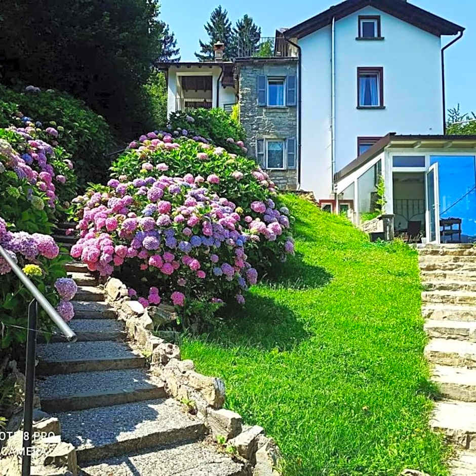 Essentia Guest House