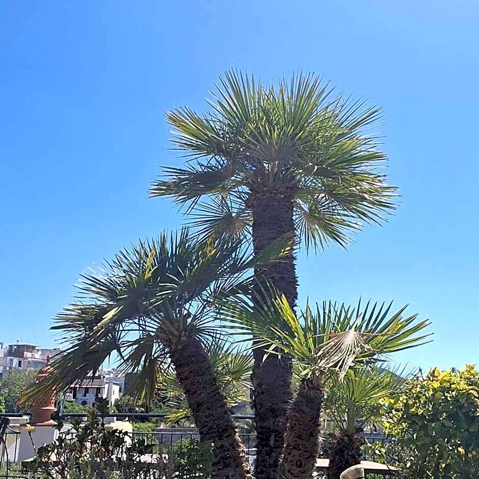 Hotel Villa Verde
