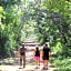 Aruá Observação de aves e natureza