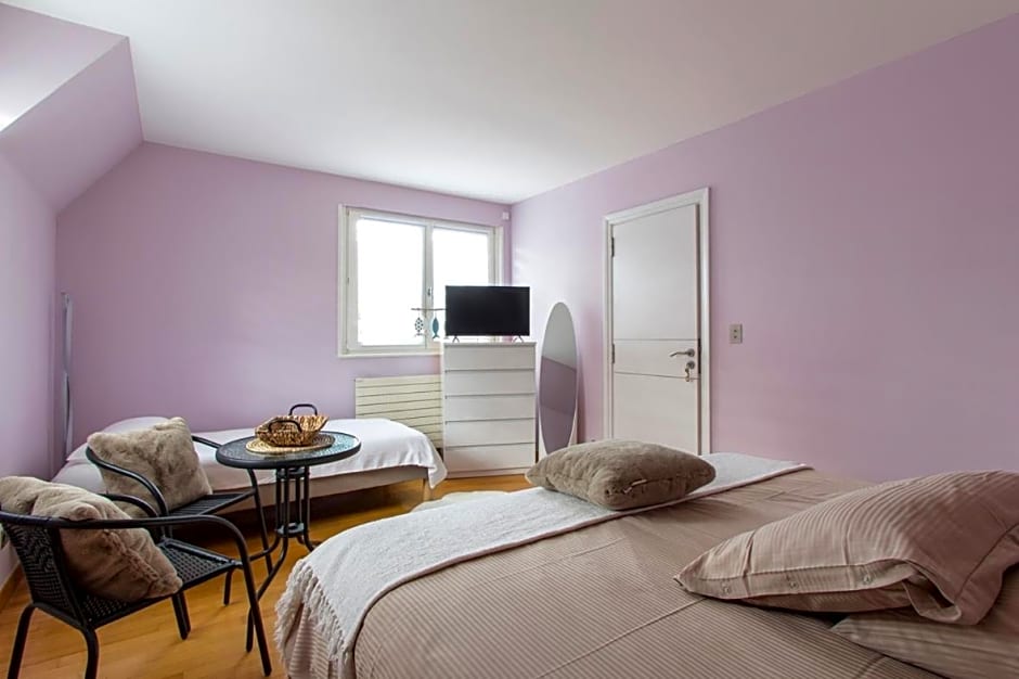 Villacosy spa -Strasbourg VILLA DOLCE