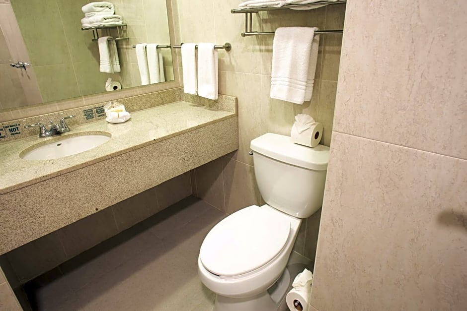 Hotel Plaza Calzada