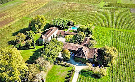 Château la Gineste - Castle and Vineyard