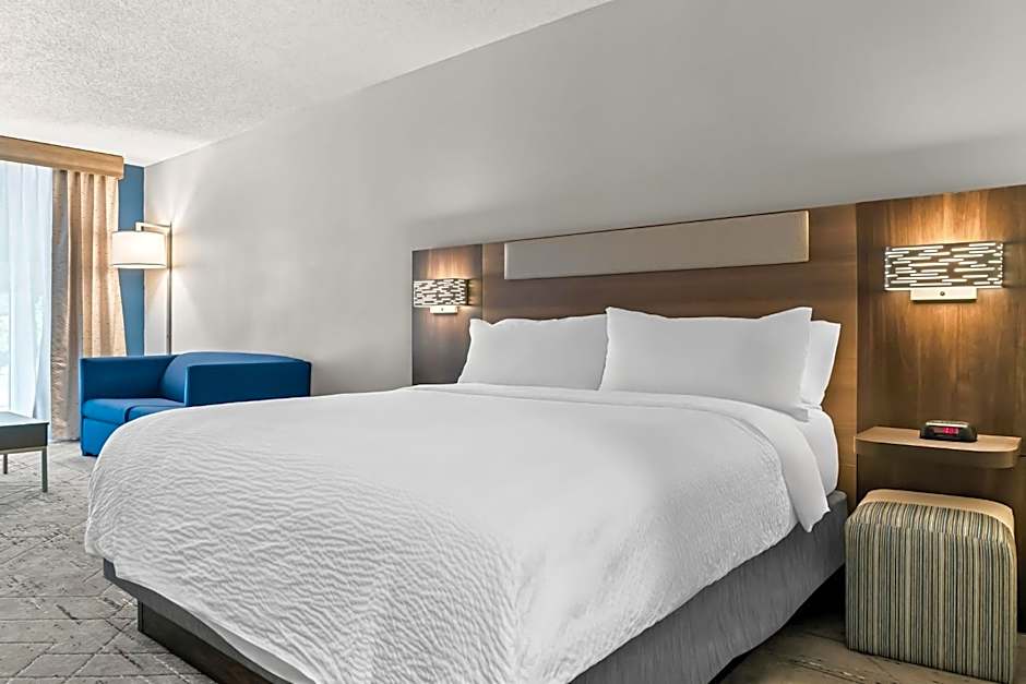 Holiday Inn Express Hotel & Suites - Novi