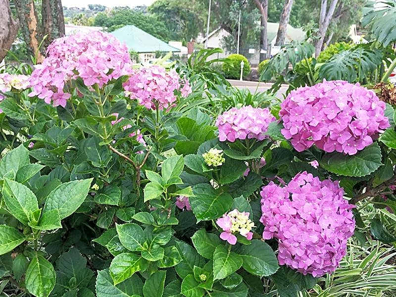 Peaches & Cream Bed & Breakfast