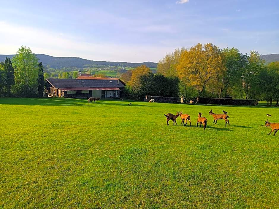 Wohnungen- Christopherhof MJ,Grafenwiesen