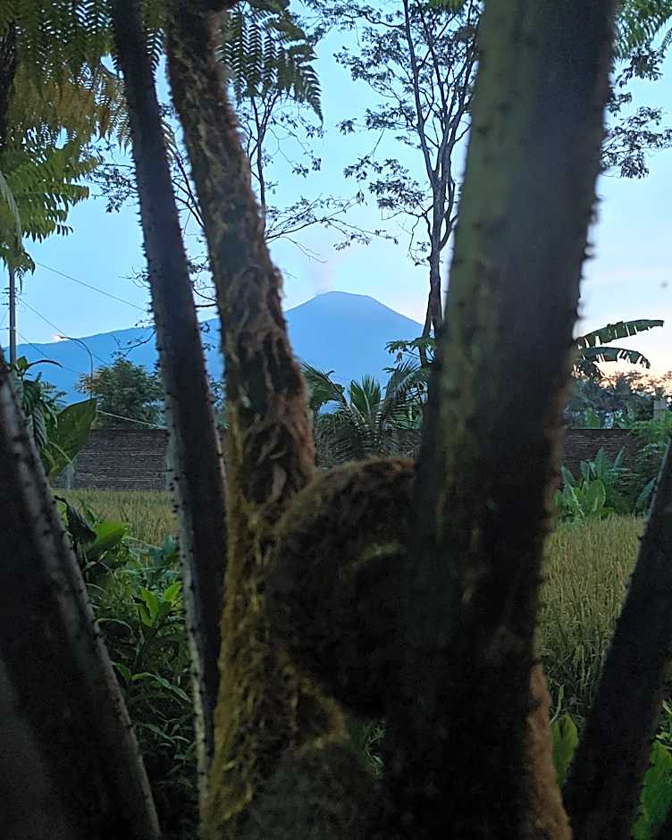 RedDoorz At Jalan Raya Baturaden