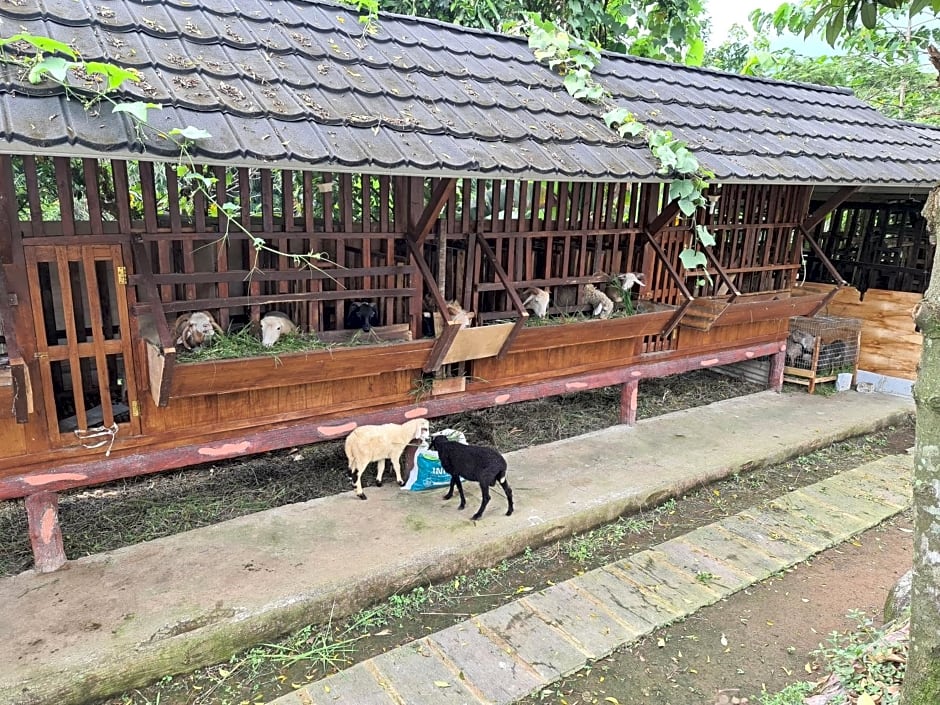 Kampung Istal Bogor