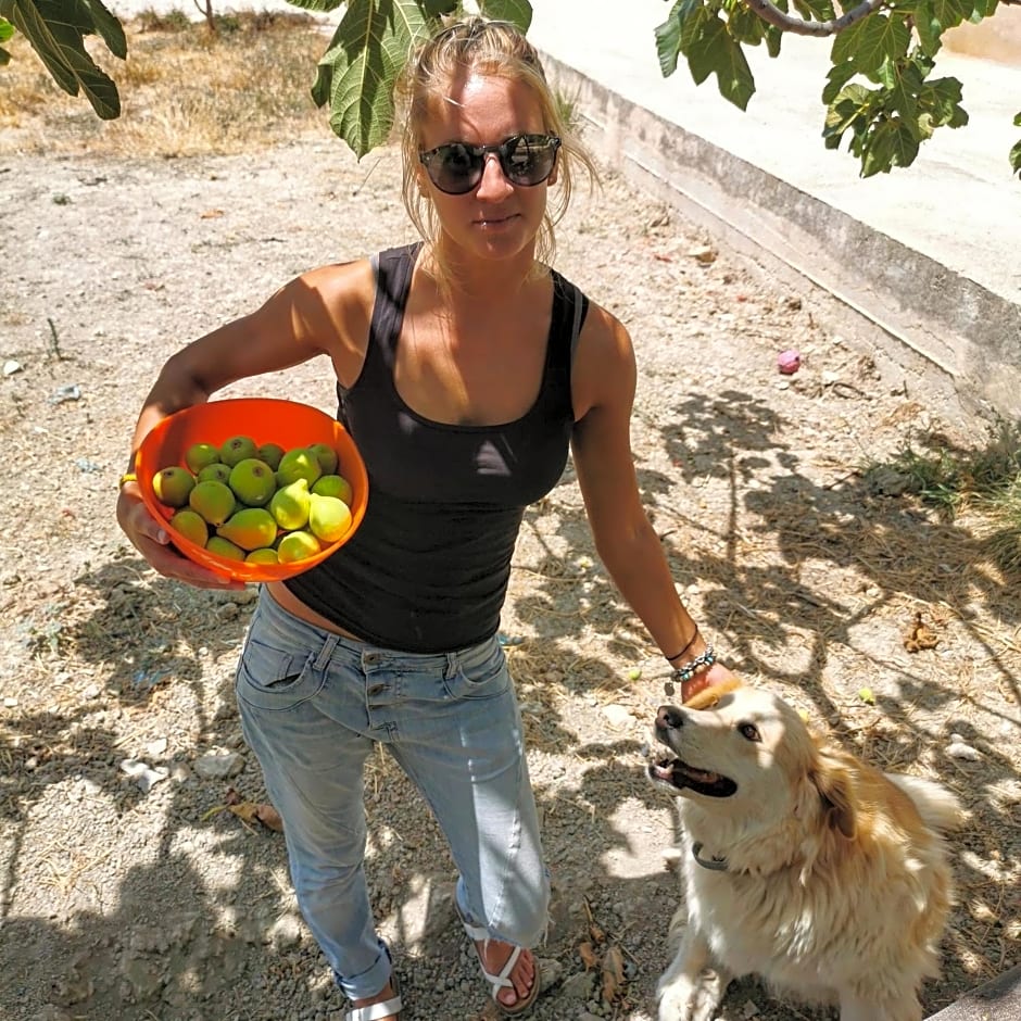 B&B Polvere di stelle