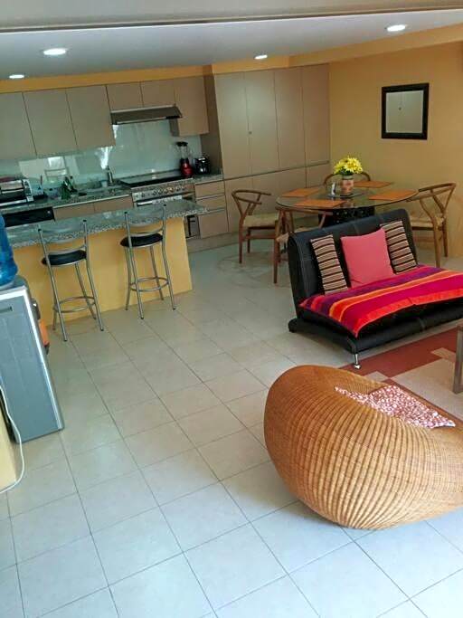 Gorgeous Open Concept Apartment