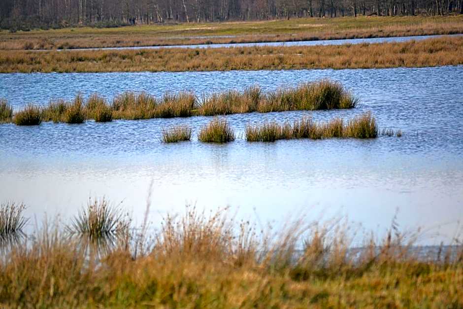 Auberge De Moerse Hoeve