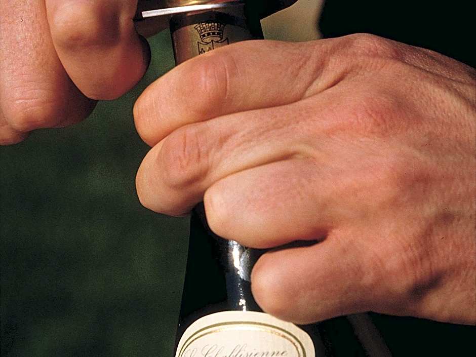 Mercure Toulouse Sud