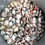 Hotel Haarlem
