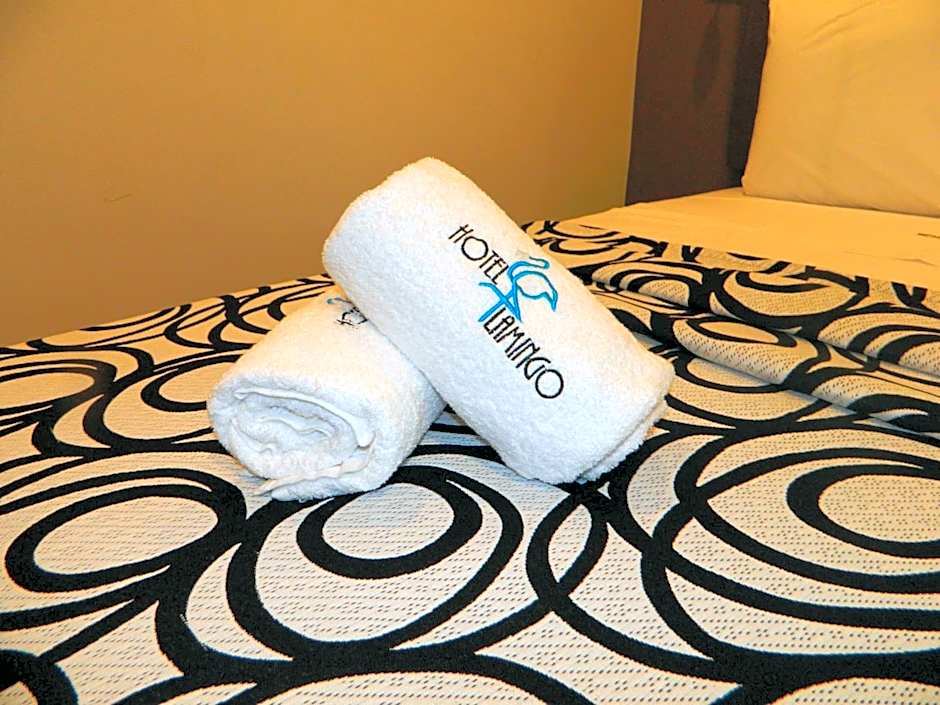 Hotel Flamingo Merida