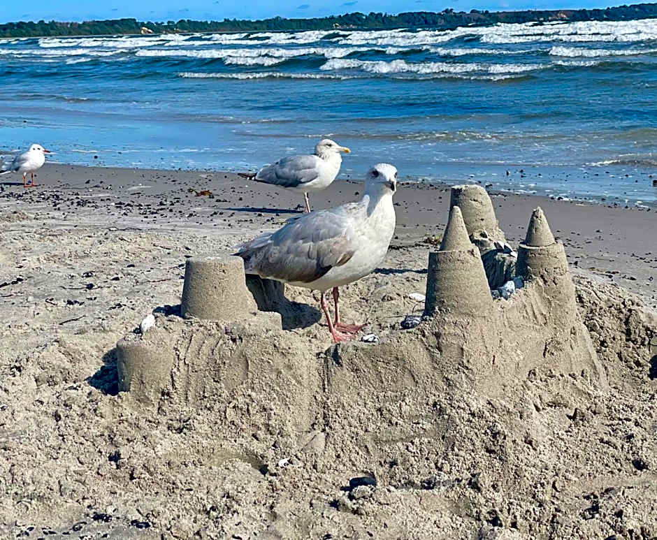 Ferienanlage Süderhof