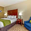 Comfort Inn Lenoir City-Knoxville