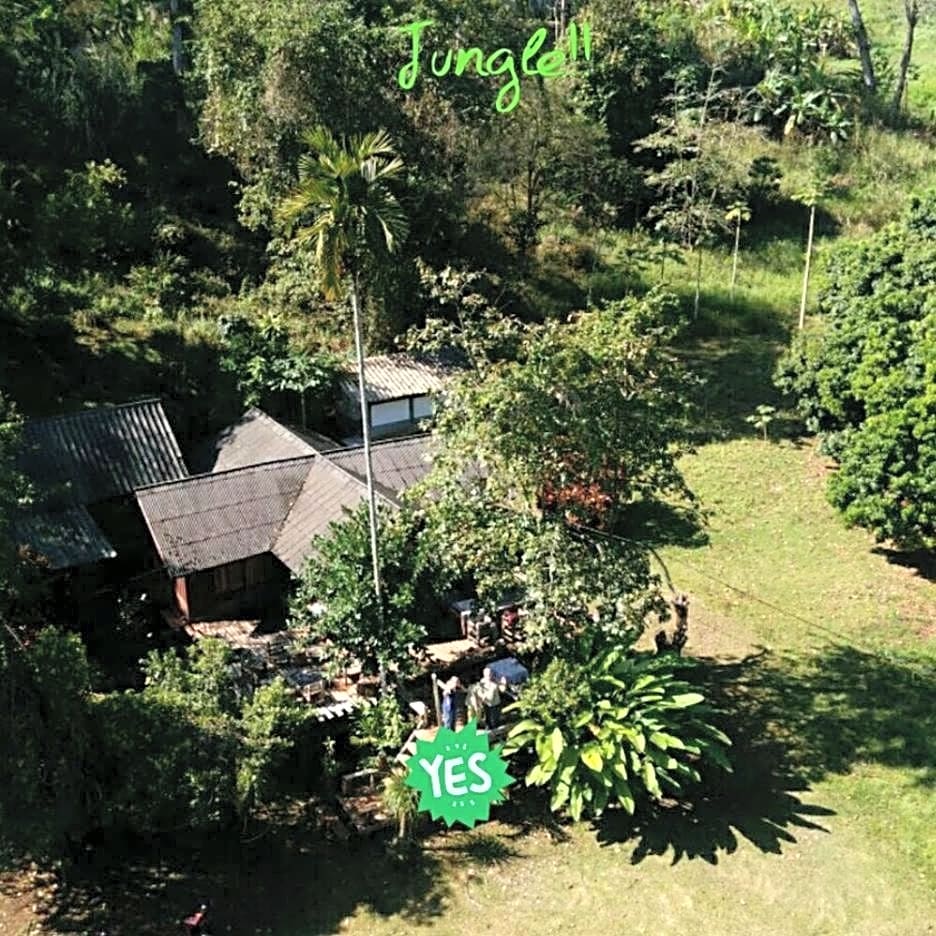 Jungle guest house