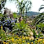 Turismo Rurale Cefalù