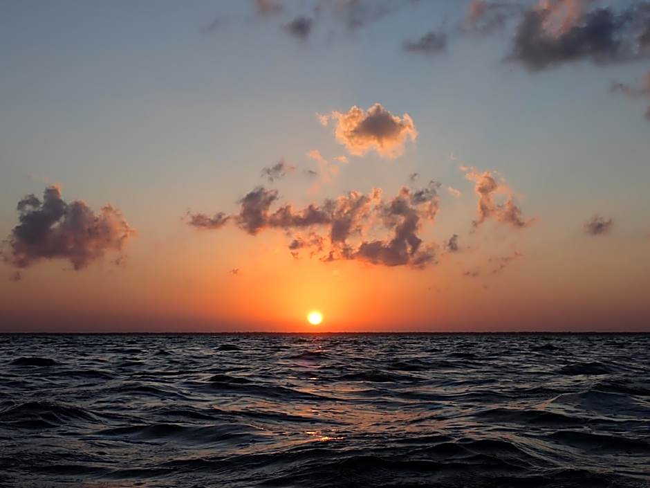 Ikarus Costa Mujeres Eco Lodge Sunset View