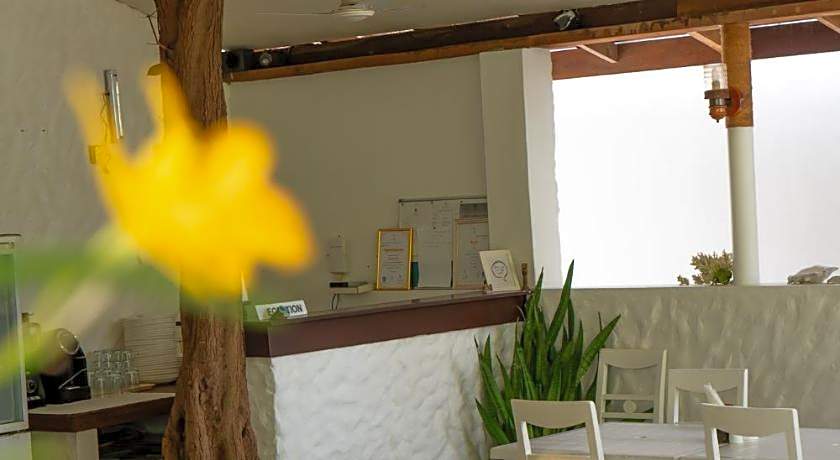 Vaali Maldives Island Escapes & Dive