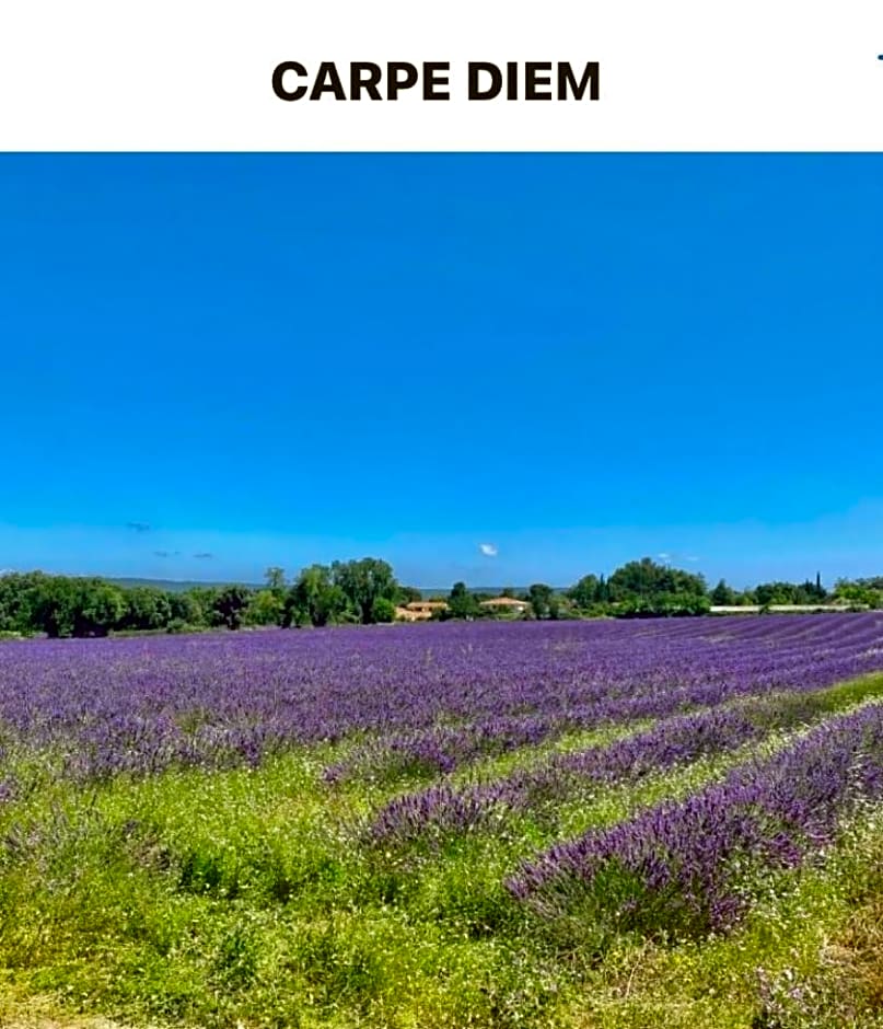 « CARPE DIEM »