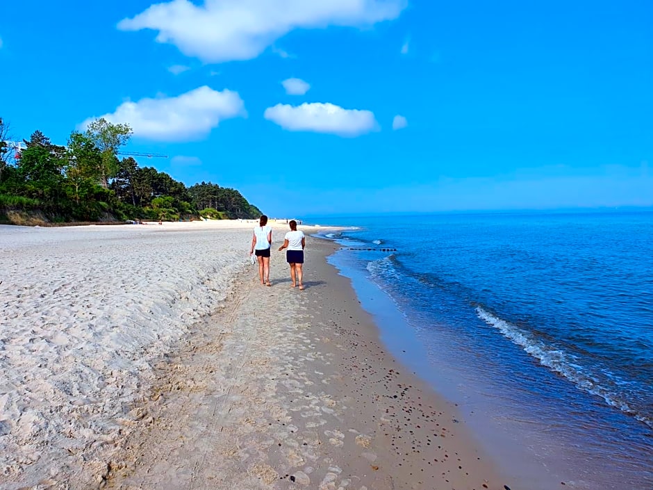 Szara Gąska w Gąskach