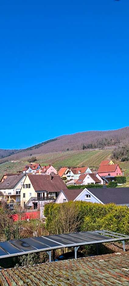 Gîte et chambres d'hôtes Les Framboises