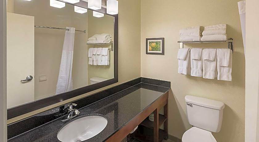 Comfort Suites Saginaw North