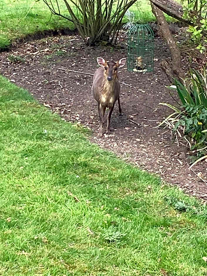 Private luxury retreat