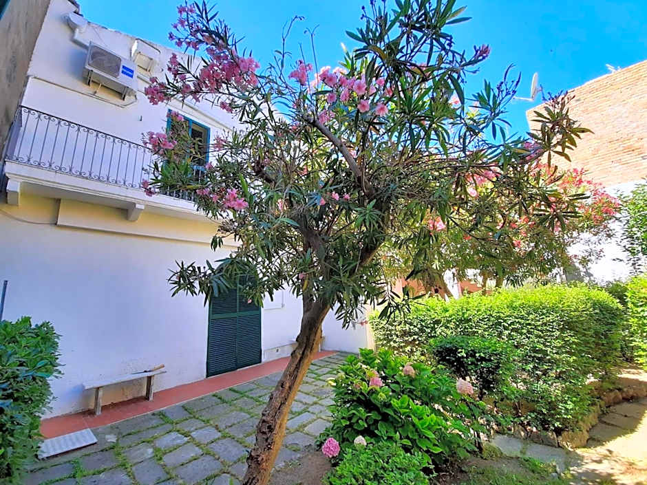 Il Giardino Nascosto B&B