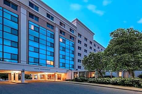 1 Double Bed, 1-Bedroom Suite, Non-Smoking