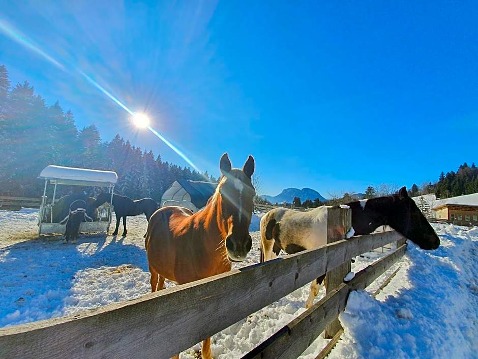 Grubhof Appartements