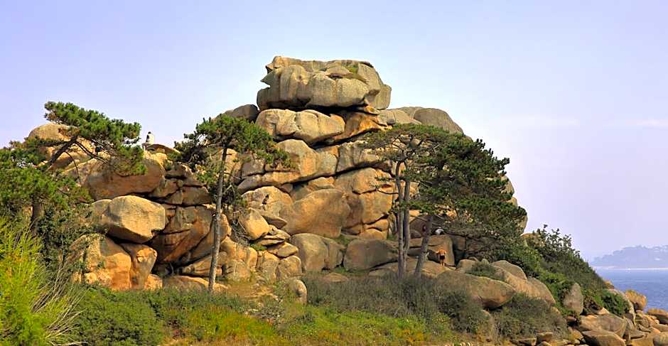 Aux Arbres Chanteurs