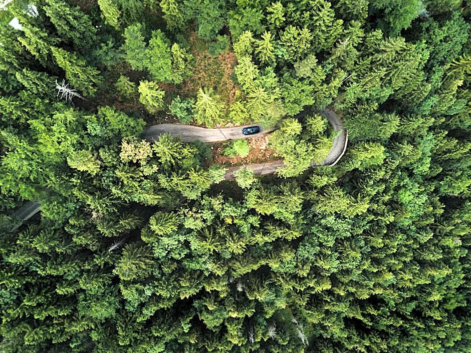 Boutiquehotel Blaue Burg Falkenstein