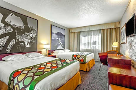 Double Room with Two Double Beds - Non-Smoking