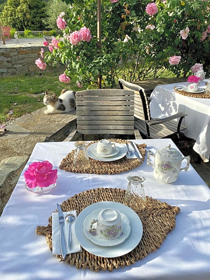 Chambres d'hôtes et studios de charme - A Mandria