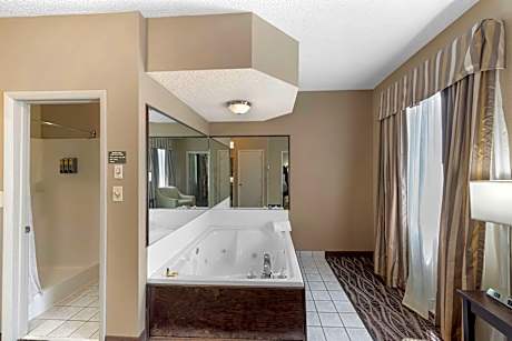 1 King Bed, Non-Smoking, Mini Suite, Whirlpool, Microwave And Refrigerator, High Speed Internet Acce