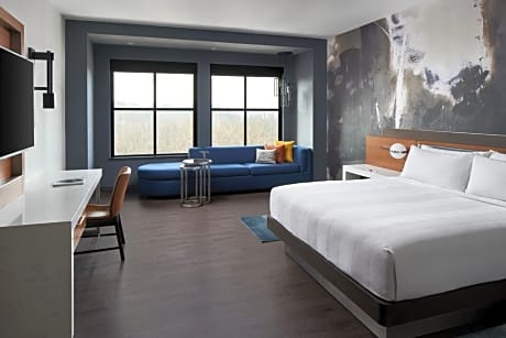 Guest Room, 1 King