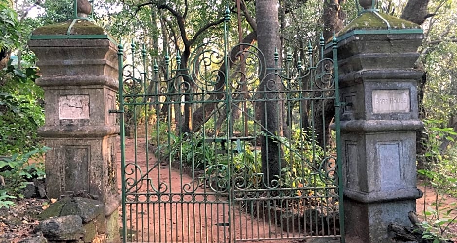 Dune Barr House - Verandah in the Forest