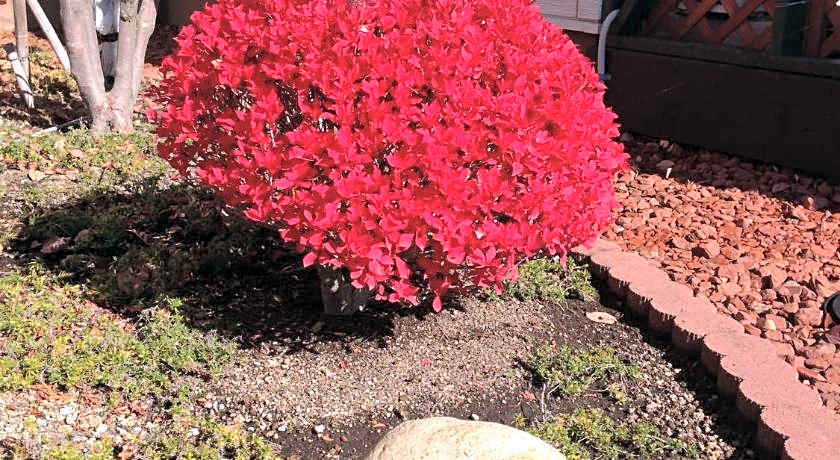 Petit Hotel Blane Neige