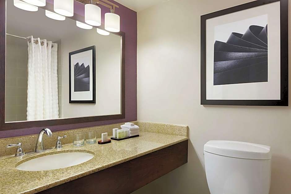 Embassy Suites by Hilton Santa Ana Orange County Airport