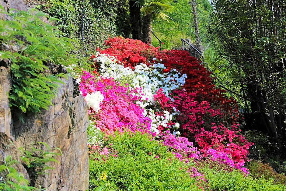 Appartamenti Ferrari