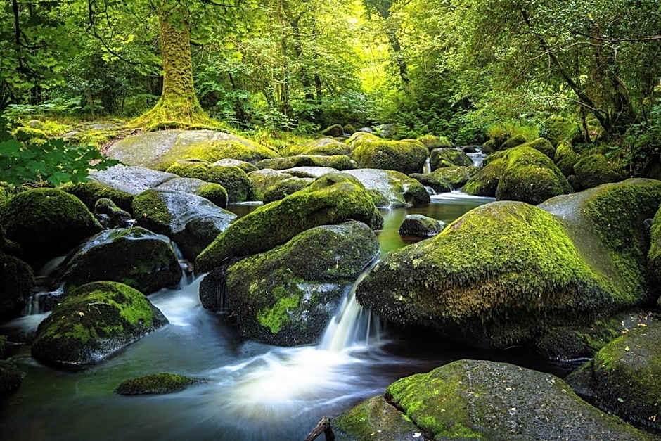 Union Road Moto Velo Accommodation