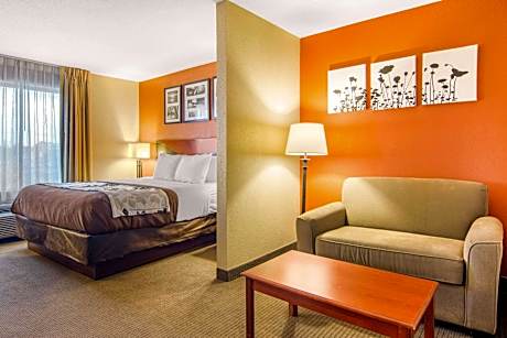 1 King Bed, Suite, Nonsmoking