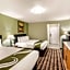 Quality Inn & Suites Plano