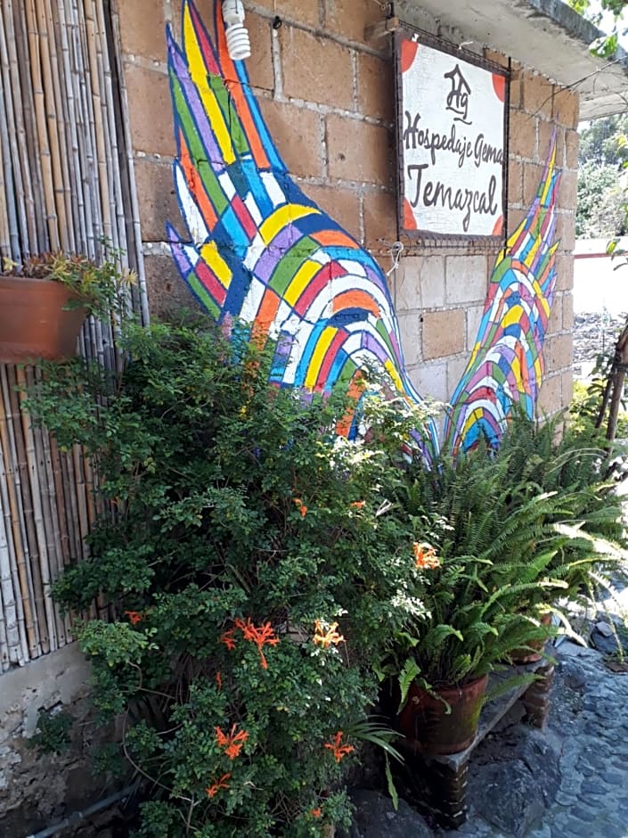 Temazcal casa gema