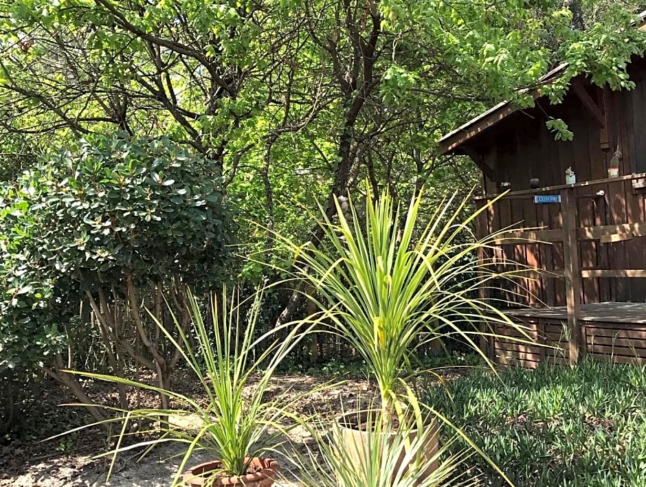 Cabane ZEN OCEAN, les cabanes océanes Montalivet