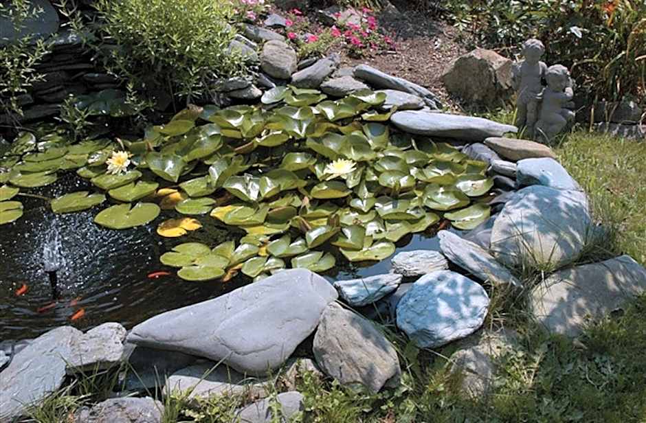 Gardenview Bed and Breakfast 